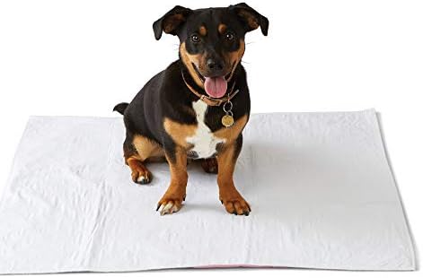 Medline Sofnit 300, Pack of 4 Large Washable Blue Underpads, 34”x 48” for use as reusable pet pads, reusable bed pads, great for dogs, cats and bunnies