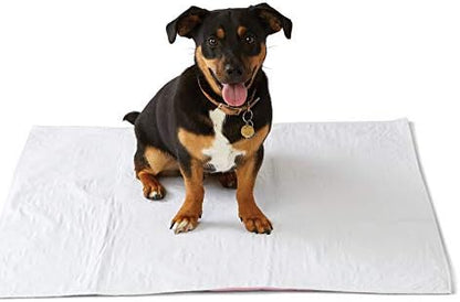 Medline Sofnit 300, Pack of 4 Large Washable Blue Underpads, 34”x 48” for use as reusable pet pads, reusable bed pads, great for dogs, cats and bunnies