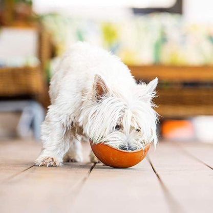 LickiMat Wobble, Dog Slow Feeder Bowl Lick Mat, Boredom Anxiety Reducer; Perfect for Food, Treats, Yogurt, or Peanut Butter. Fun Alternative to a Slow Feed Dog Bowl, Turquoise