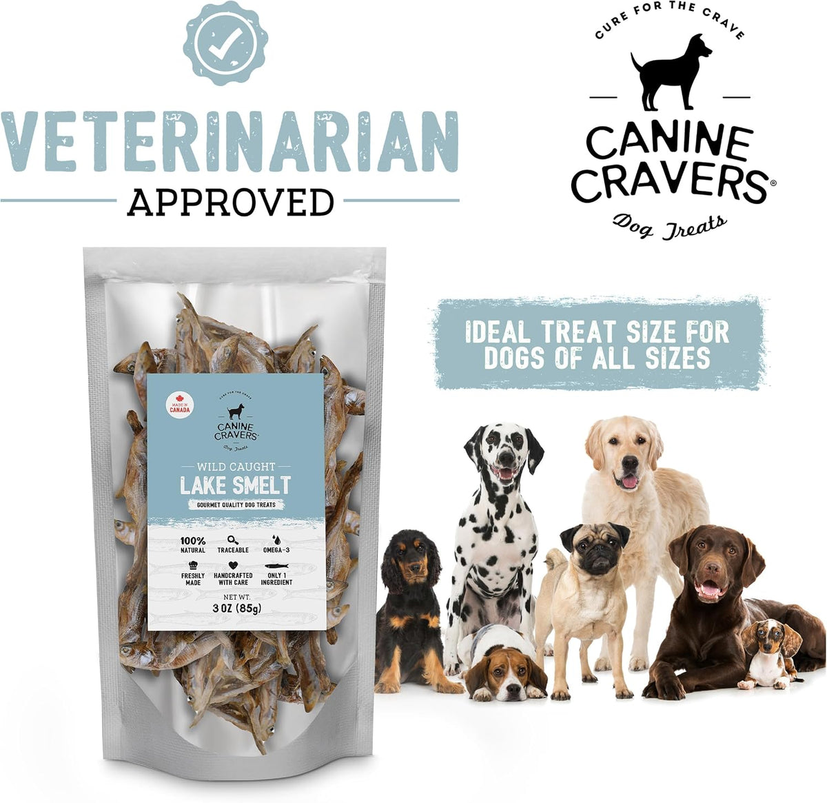 Canine Cravers Single Ingredient Dog Treats – Premium Beef Fillets - Human Grade Air Dried Hypoallergenic Pet Food – Grain, Gluten, and Soy Free – 100% All Natural - 5.3 oz