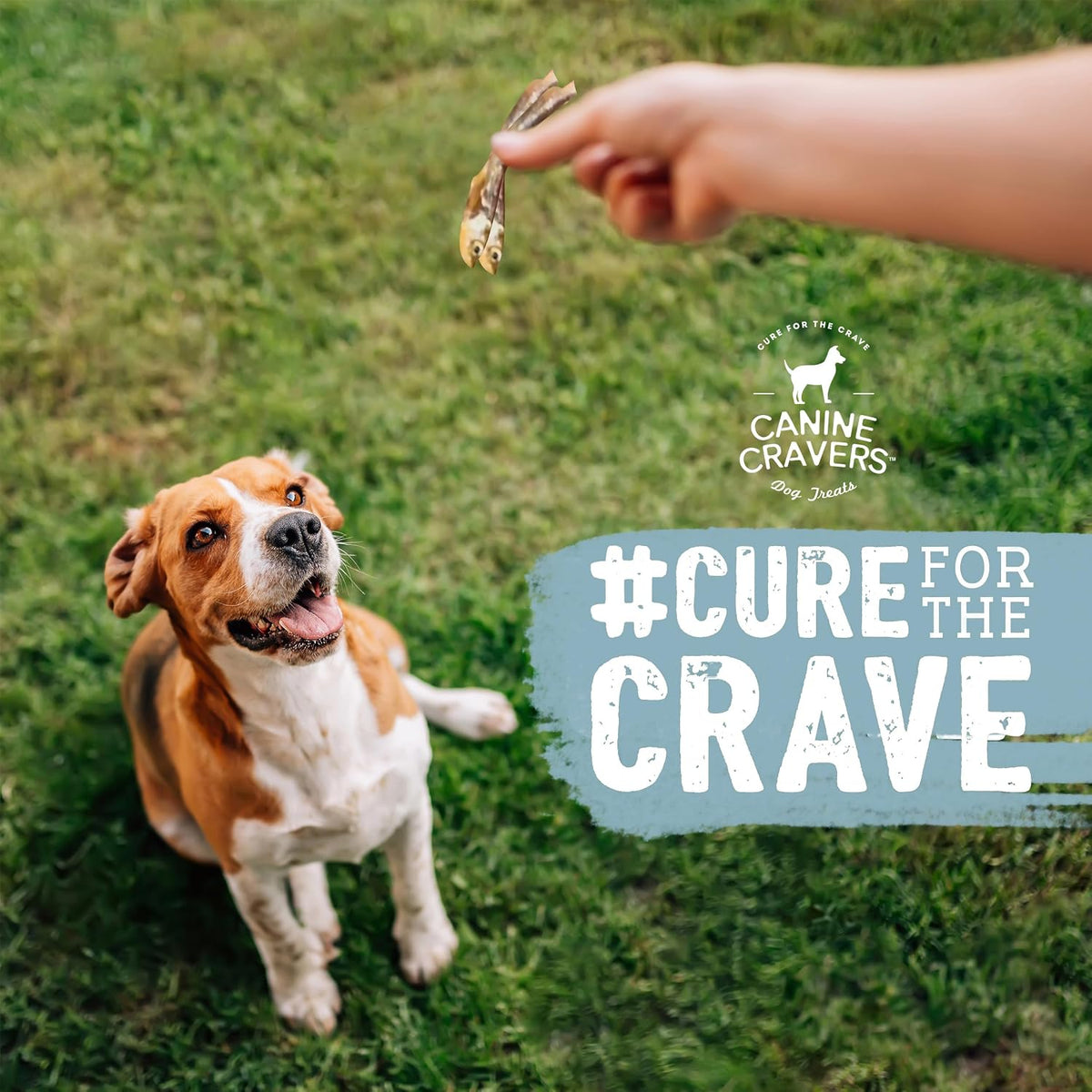 Canine Cravers Single Ingredient Dog Treats – Premium Beef Fillets - Human Grade Air Dried Hypoallergenic Pet Food – Grain, Gluten, and Soy Free – 100% All Natural - 5.3 oz