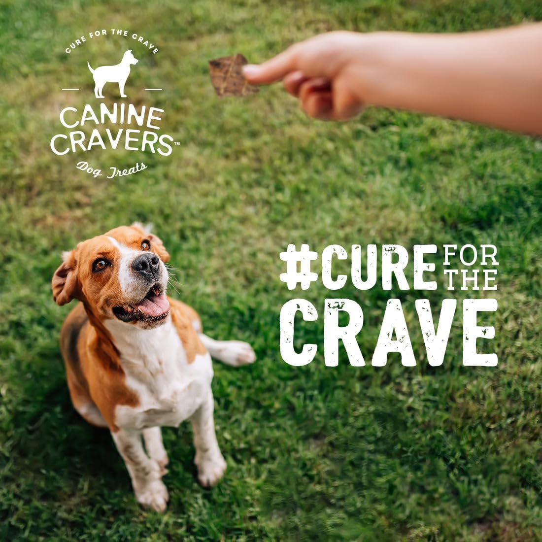 Canine Cravers Single Ingredient Dog Treats – Premium Beef Fillets - Human Grade Air Dried Hypoallergenic Pet Food – Grain, Gluten, and Soy Free – 100% All Natural - 5.3 oz
