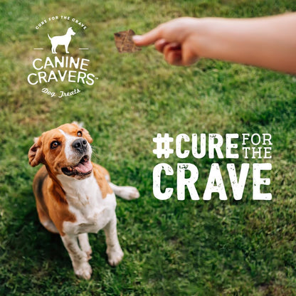 Canine Cravers Single Ingredient Dog Treats – Premium Beef Fillets - Human Grade Air Dried Hypoallergenic Pet Food – Grain, Gluten, and Soy Free – 100% All Natural - 5.3 oz