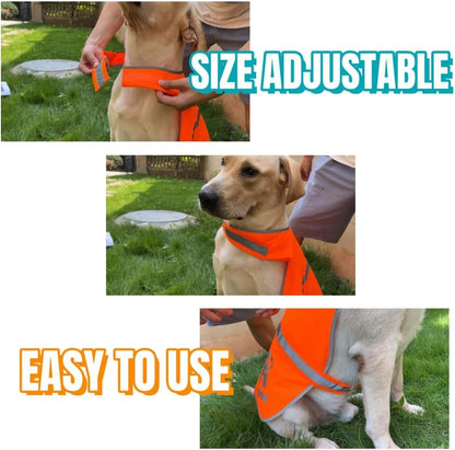 Blaze Orange Reflective Dog Safety Vest for Walking & Jogging L
