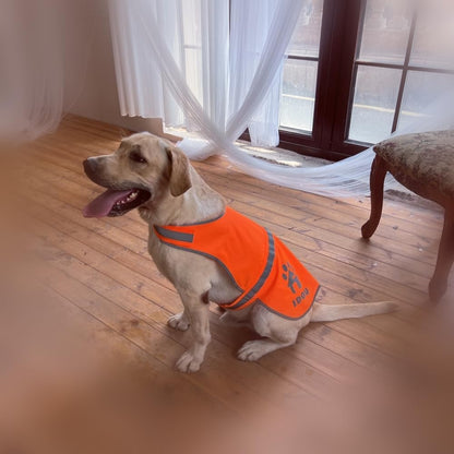 Blaze Orange Reflective Dog Safety Vest for Walking & Jogging L