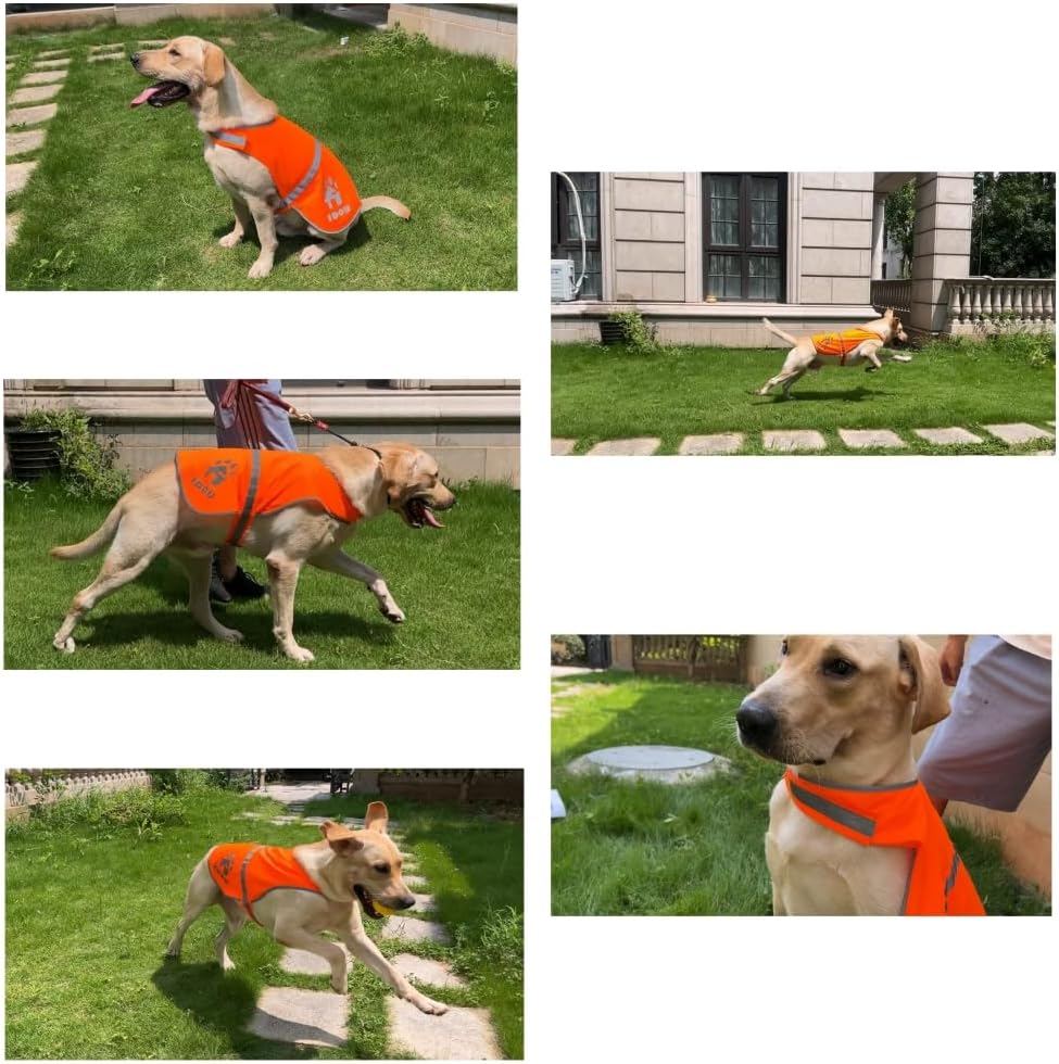 Blaze Orange Reflective Dog Safety Vest for Walking & Jogging L