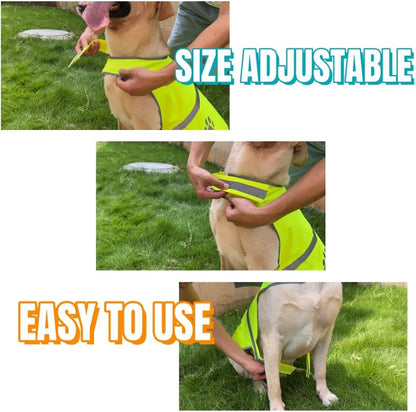 Blaze Orange Reflective Dog Safety Vest for Walking & Jogging L