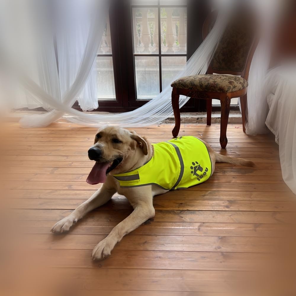 Blaze Orange Reflective Dog Safety Vest for Walking & Jogging L