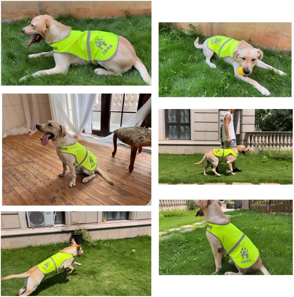 Blaze Orange Reflective Dog Safety Vest for Walking & Jogging L