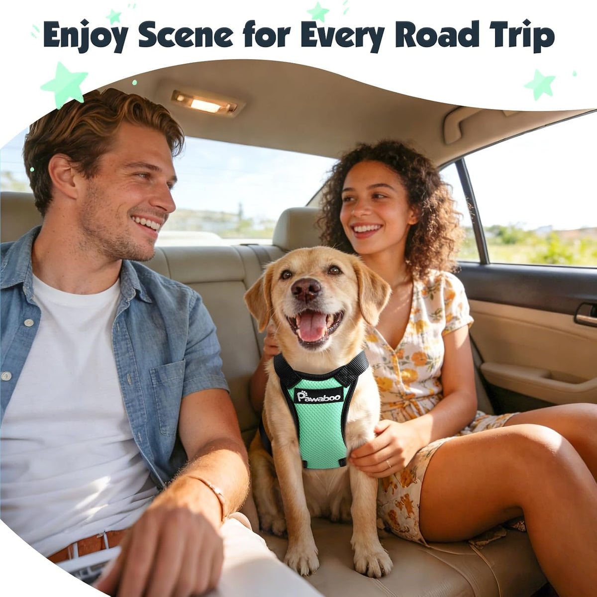 Dog Seat Belt Harness for Car, Seatbelt Harness with 2 in 1 Buckle