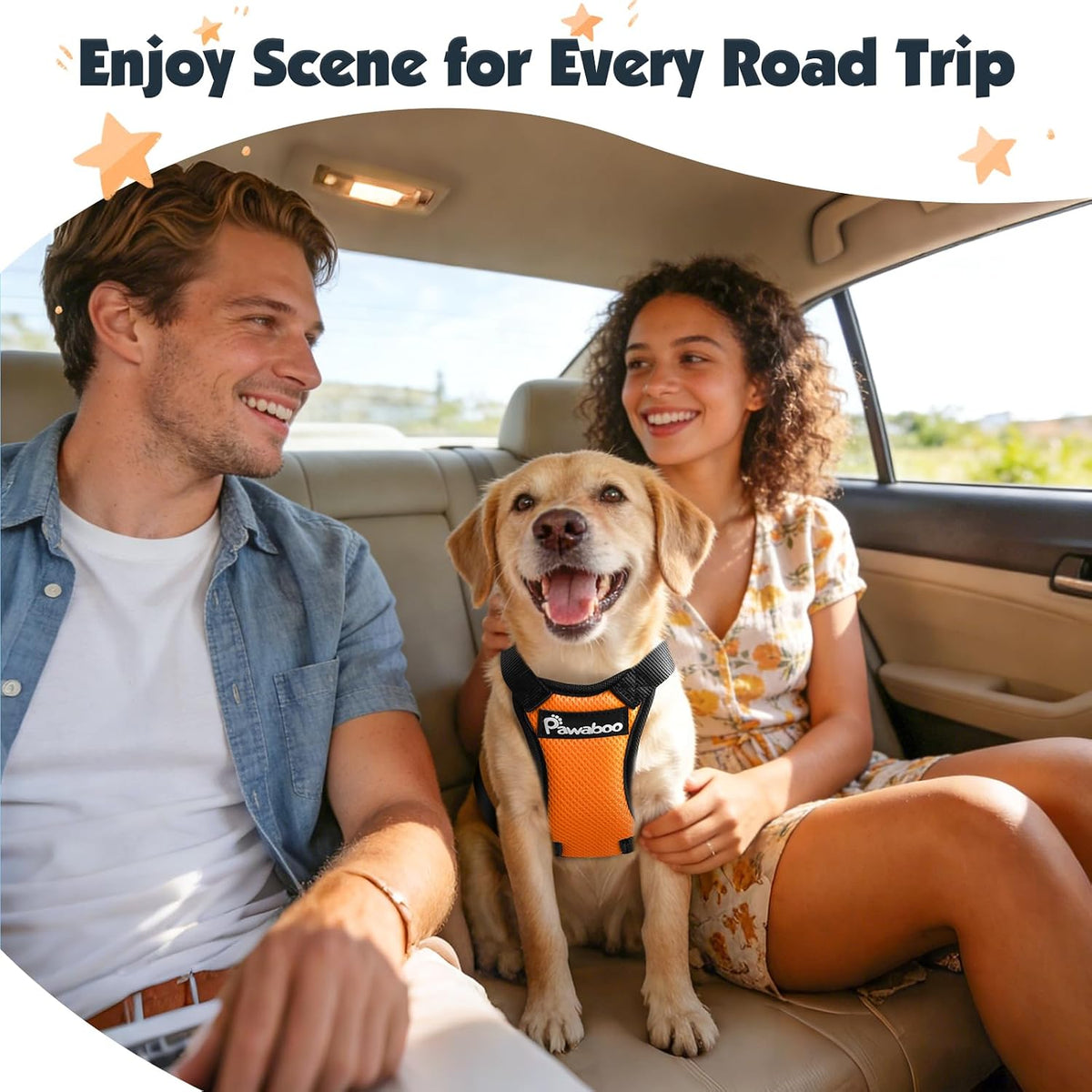 Dog Seat Belt Harness for Car, Seatbelt Harness with 2 in 1 Buckle