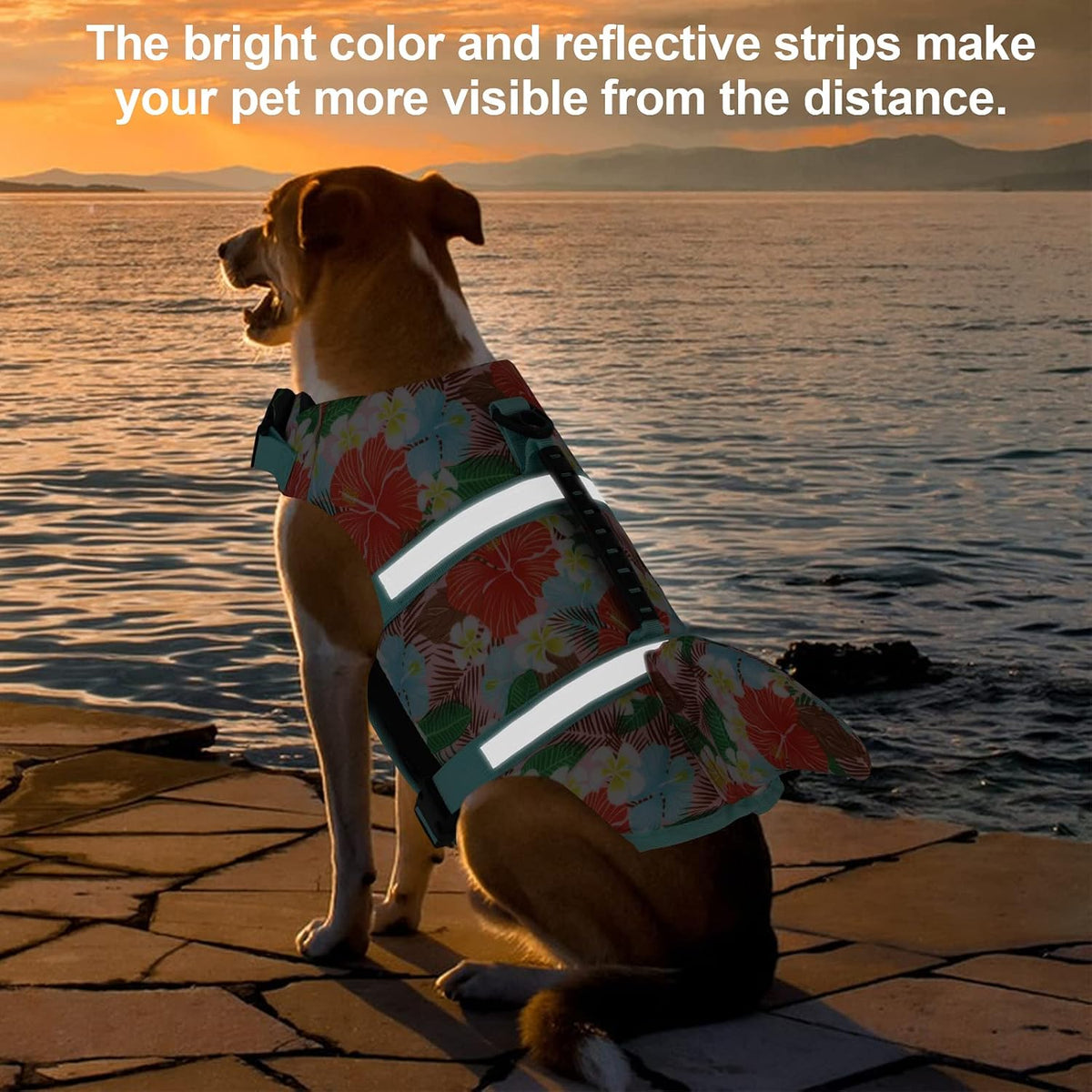 Dog Life Jacket Shark, Dog Life Vest Adjustable Ripstop, Dog Swimming Safety Vest with Superior Buoyancy & Rescue Handle for Small Medium Large Dogs, Swim, Pool, Beach, Boating