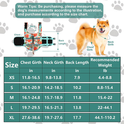 Dog Life Jacket Shark, Dog Life Vest Adjustable Ripstop, Dog Swimming Safety Vest with Superior Buoyancy & Rescue Handle for Small Medium Large Dogs, Swim, Pool, Beach, Boating