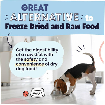 Air Dried Dog Food Beef Recipe, Vet Recommended, Made in USA, 2lb