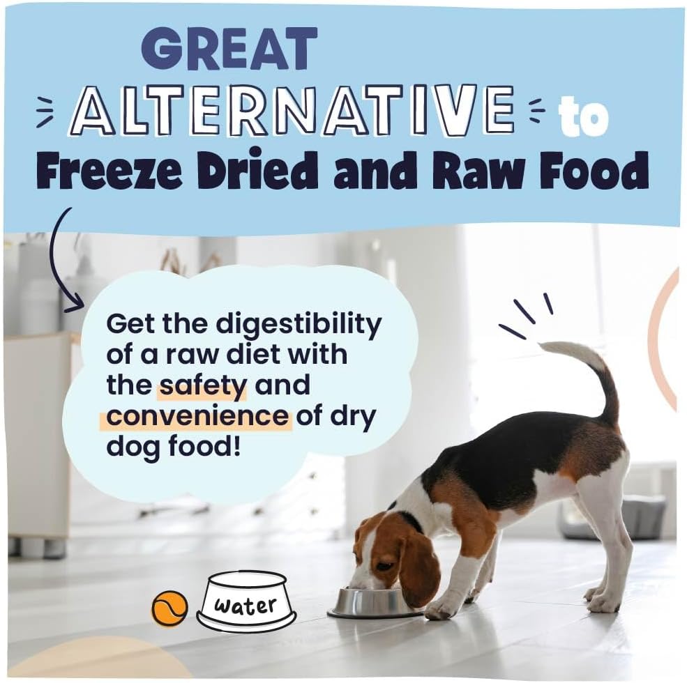 Air Dried Dog Food Beef Recipe, Vet Recommended, Made in USA, 2lb