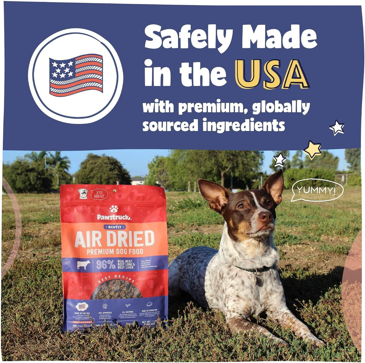 Air Dried Dog Food Beef Recipe, Vet Recommended, Made in USA, 2lb
