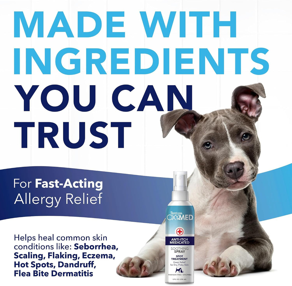 OxyMed Medicated Dog Shampoo, Soothing Oatmeal Formula, 20oz