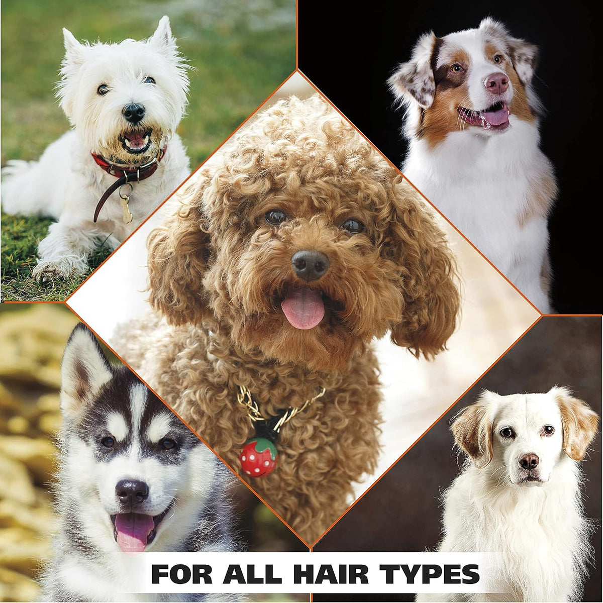 USA Dry Skin & Itch Relief Pet Shampoo for Dogs – Oatmeal Formula with Coconut Lime Verbena Scent & Pet Friendly Formula, 24 Oz - Model 820004A