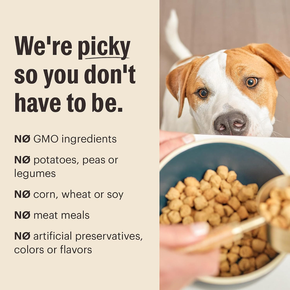 Whole Grain Chicken & Superfoods Whole Food Clusters, Vet Crafted Human Grade Dry Dog Food, Skin, Coat, Digestion & Healthy Weight, Trial Size, 1 lb Bag