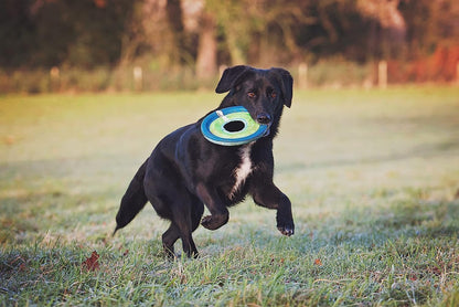 ! Max Glow Zipflight Flying Disc Dog Toy, Floats, Medium, 8.5in
