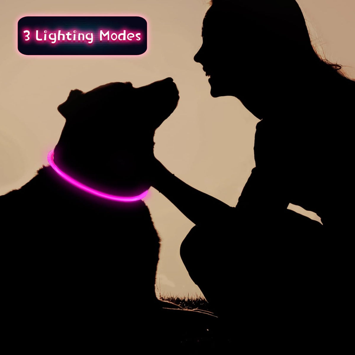 3 Pcs Light up Dog Collar LED USB Rechargeable, 3 Natural Colors