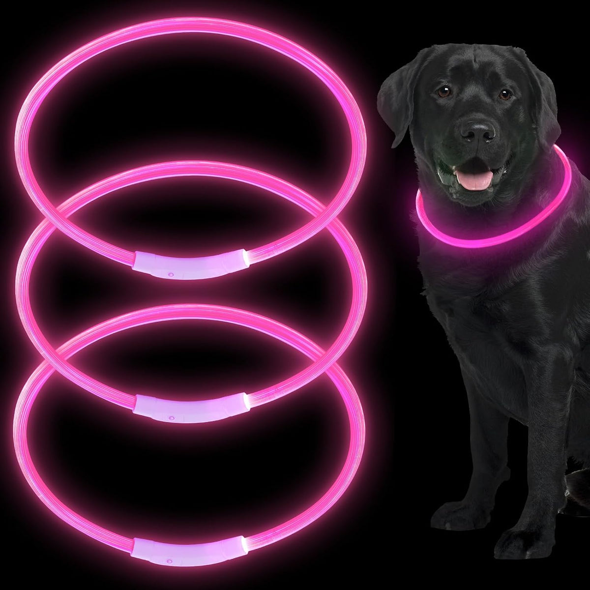 3 Pcs Light up Dog Collar LED USB Rechargeable, 3 Natural Colors