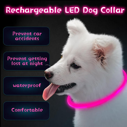 3 Pcs Light up Dog Collar LED USB Rechargeable, 3 Natural Colors