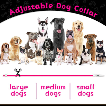 3 Pcs Light up Dog Collar LED USB Rechargeable, 3 Natural Colors