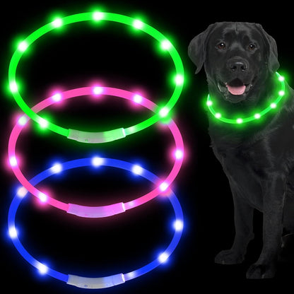3 Pcs Light up Dog Collar LED USB Rechargeable, 3 Natural Colors