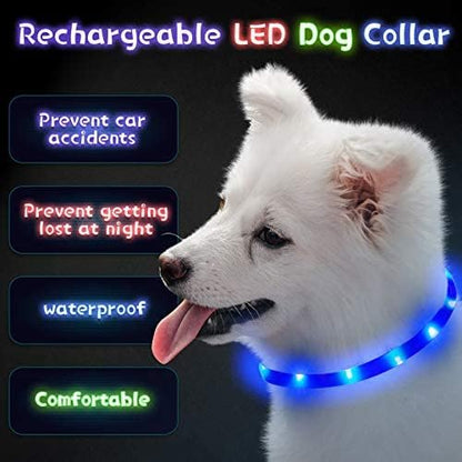 3 Pcs Light up Dog Collar LED USB Rechargeable, 3 Natural Colors