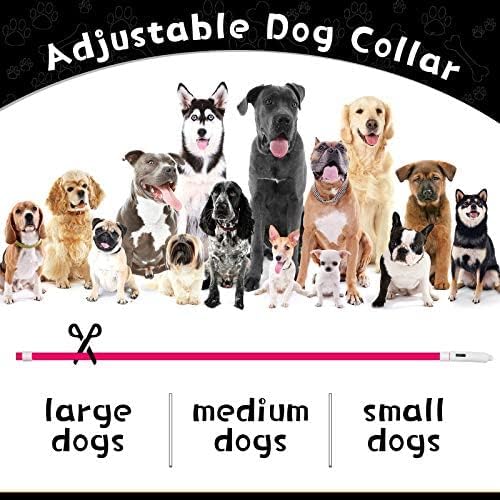 3 Pcs Light up Dog Collar LED USB Rechargeable, 3 Natural Colors