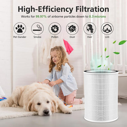 Kilo Filter for Afloia Kilo,KILOPLUS,KILOPRO,MIRO PRO,MIRO Air Purifier