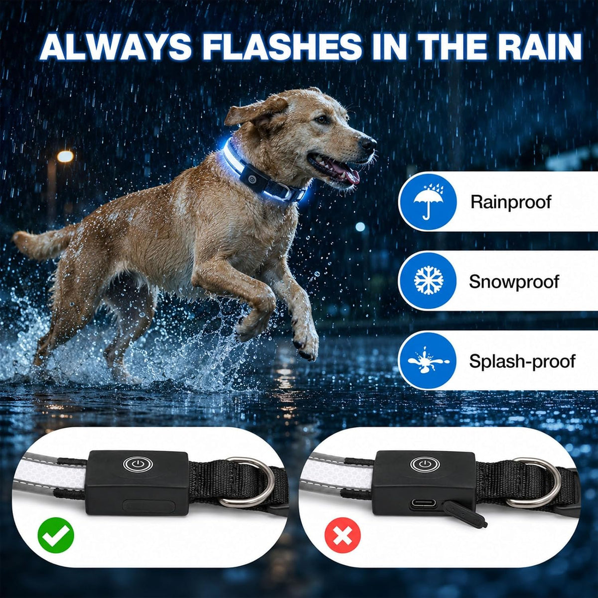 Super Bright Light Up Dog Collar for Night Walking, Long Lasting, 15 Modes