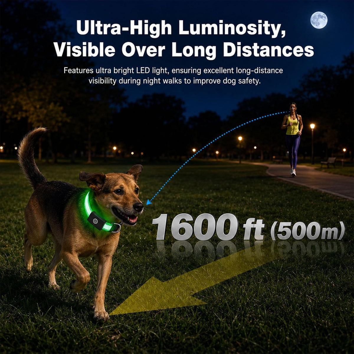 Super Bright Light Up Dog Collar for Night Walking, Long Lasting, 15 Modes