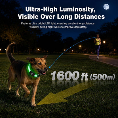 Super Bright Light Up Dog Collar for Night Walking, Long Lasting, 15 Modes