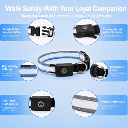 Super Bright Light Up Dog Collar for Night Walking, Long Lasting, 15 Modes
