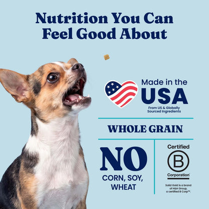 Solid Gold Ocean Fish Dry Dog Food for Sensitive Stomach, Low Fat, 4LB