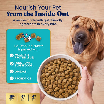 Solid Gold Ocean Fish Dry Dog Food for Sensitive Stomach, Low Fat, 4LB