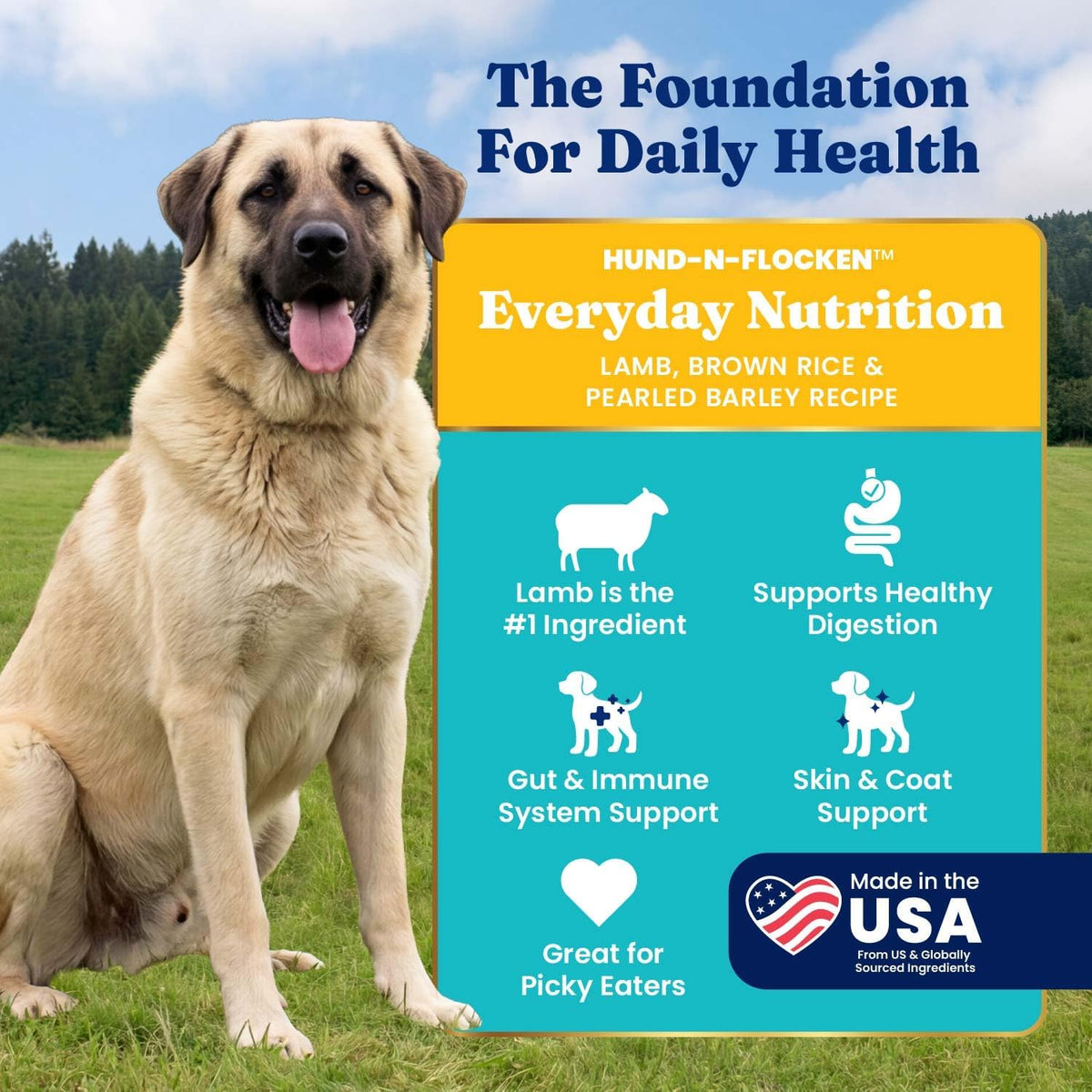 Solid Gold Ocean Fish Dry Dog Food for Sensitive Stomach, Low Fat, 4LB
