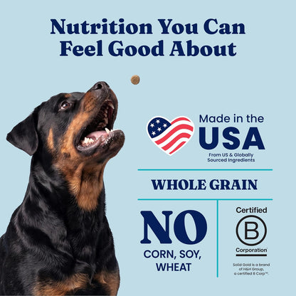 Solid Gold Ocean Fish Dry Dog Food for Sensitive Stomach, Low Fat, 4LB