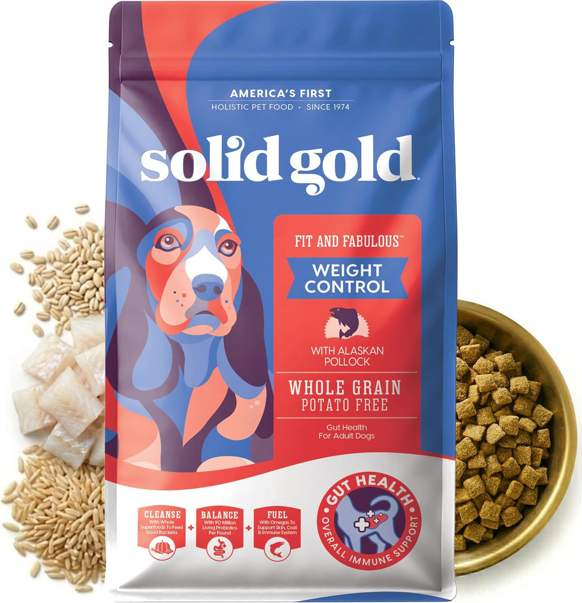 Solid Gold Ocean Fish Dry Dog Food for Sensitive Stomach, Low Fat, 4LB
