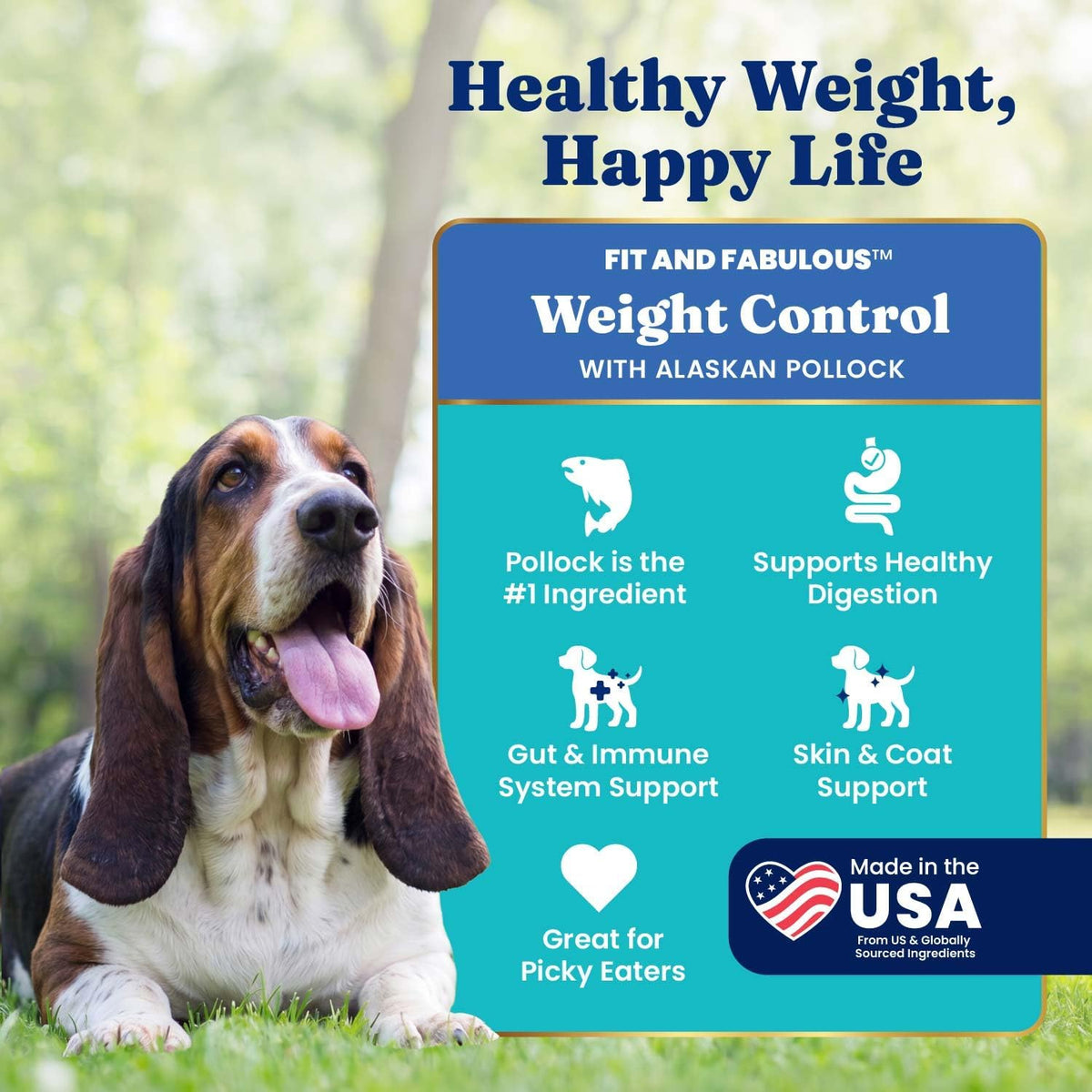 Solid Gold Ocean Fish Dry Dog Food for Sensitive Stomach, Low Fat, 4LB