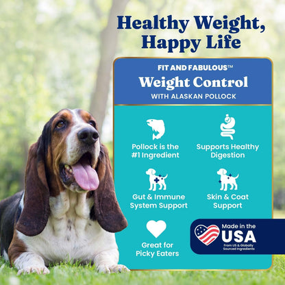 Solid Gold Ocean Fish Dry Dog Food for Sensitive Stomach, Low Fat, 4LB