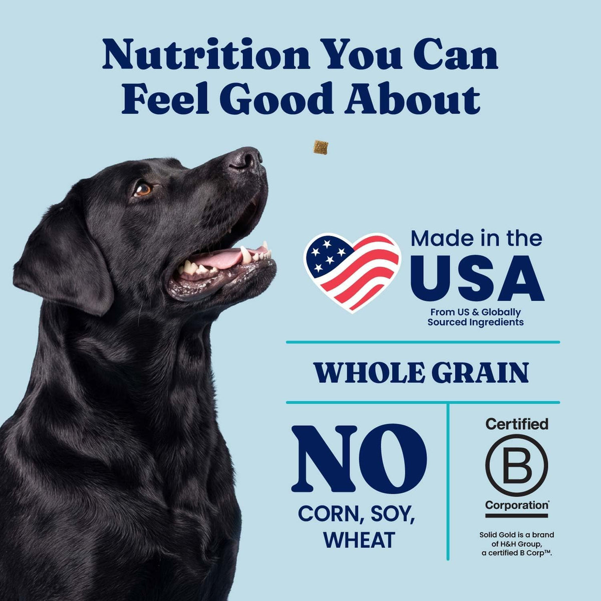 Solid Gold Ocean Fish Dry Dog Food for Sensitive Stomach, Low Fat, 4LB