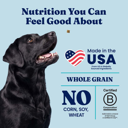 Solid Gold Ocean Fish Dry Dog Food for Sensitive Stomach, Low Fat, 4LB
