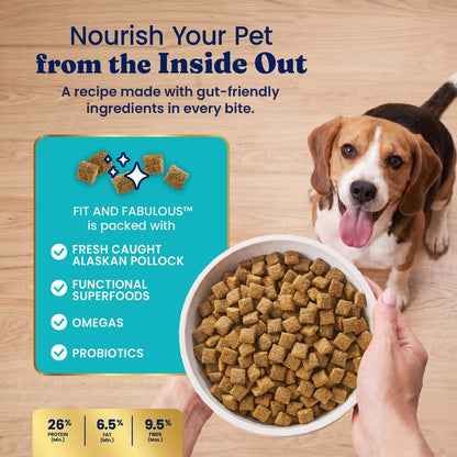 Solid Gold Ocean Fish Dry Dog Food for Sensitive Stomach, Low Fat, 4LB
