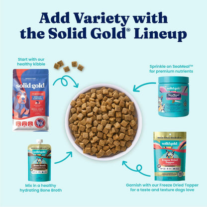 Solid Gold Ocean Fish Dry Dog Food for Sensitive Stomach, Low Fat, 4LB