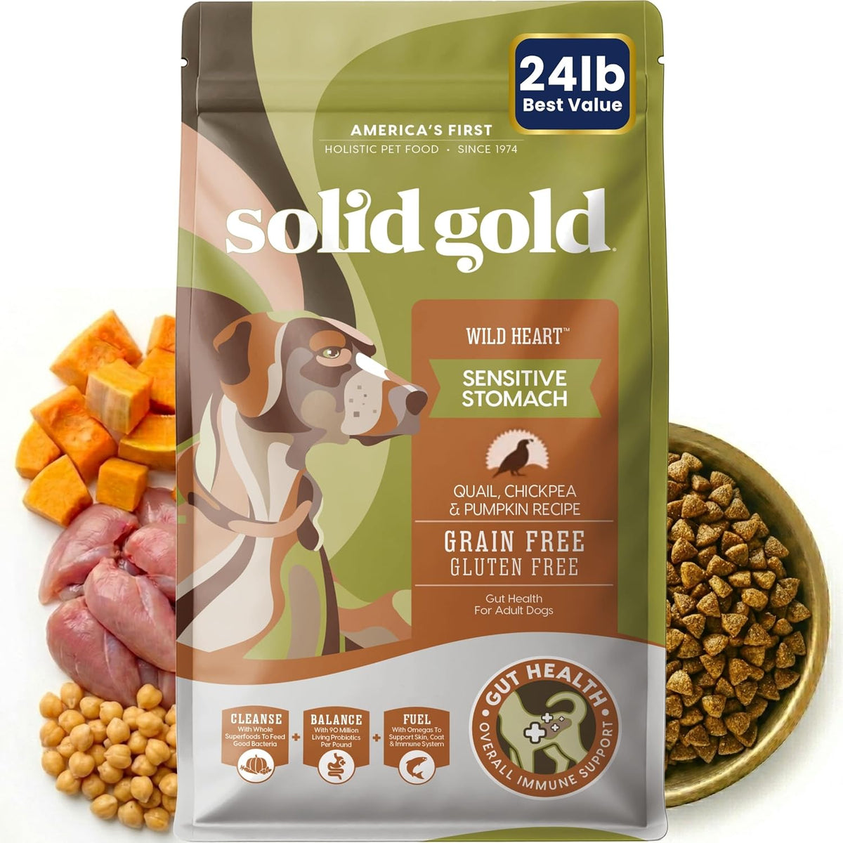 Solid Gold Ocean Fish Dry Dog Food for Sensitive Stomach, Low Fat, 4LB
