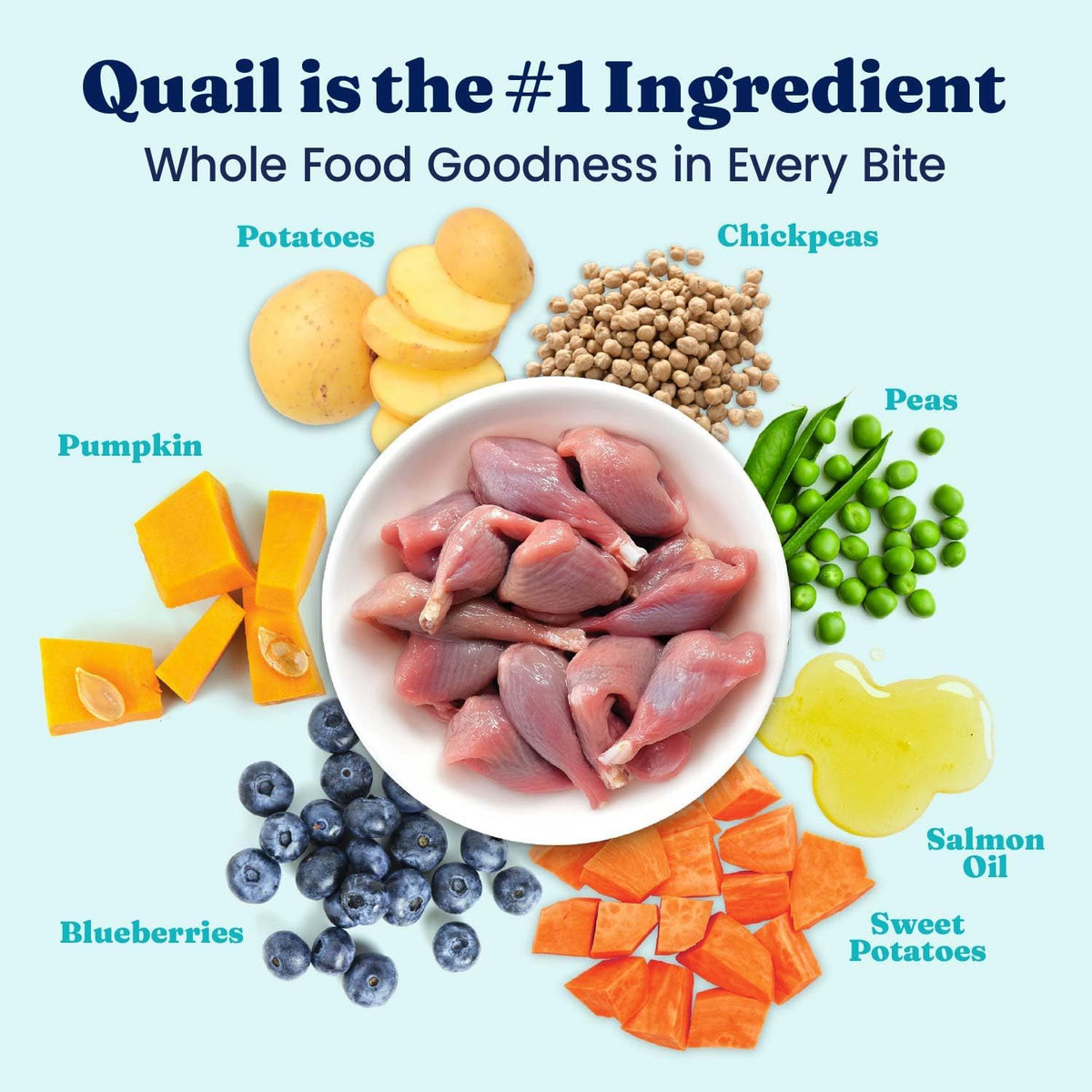 Solid Gold Ocean Fish Dry Dog Food for Sensitive Stomach, Low Fat, 4LB
