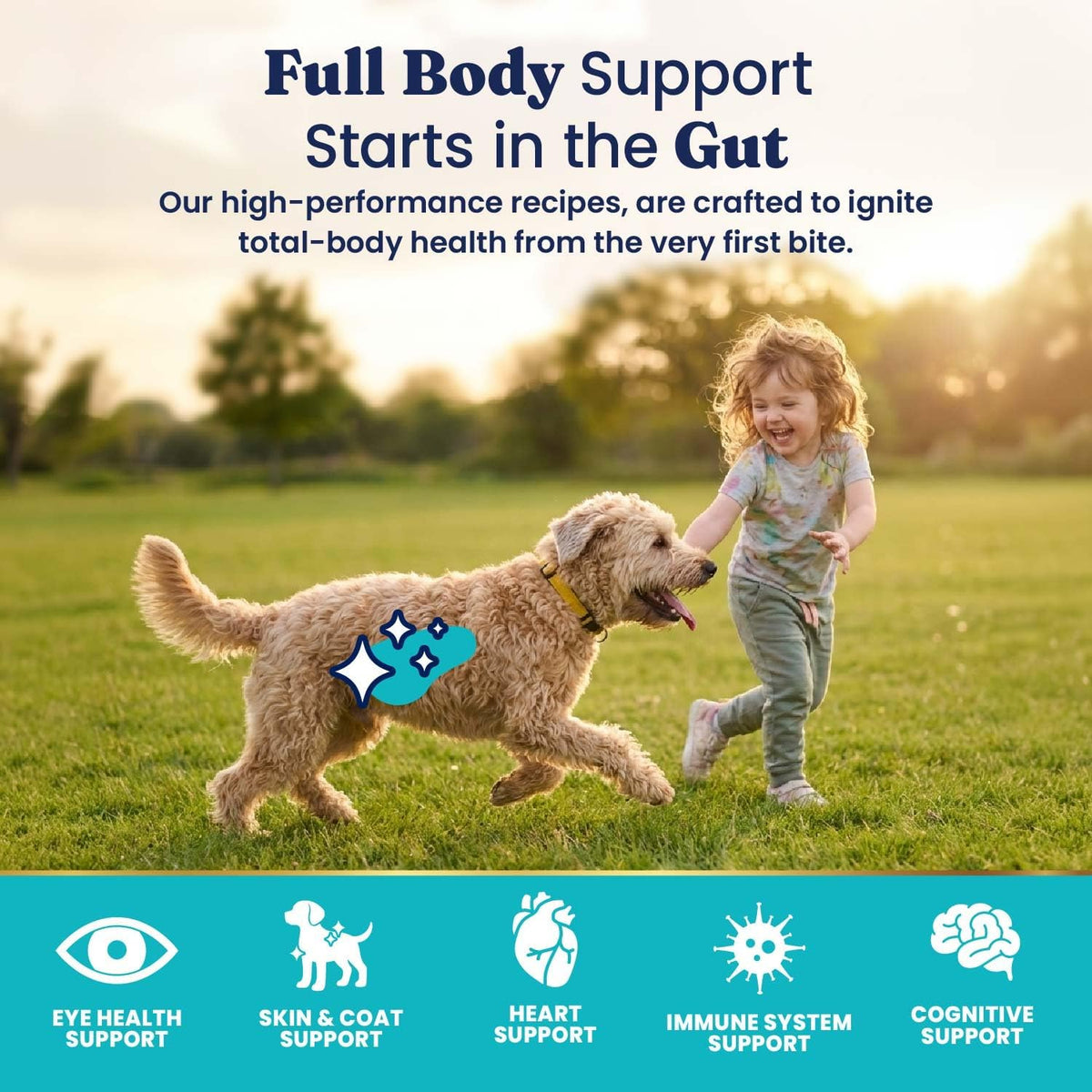 Solid Gold Ocean Fish Dry Dog Food for Sensitive Stomach, Low Fat, 4LB